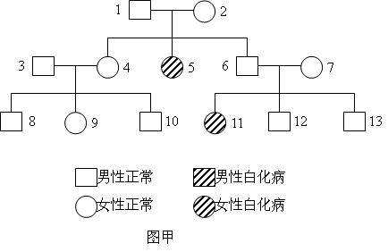 病是常染色体隐性遗传病.某患者家系的系谱图如图甲.