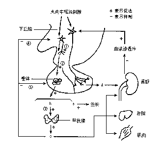 26thegirlsagamecalledbombhappilywhentheteachersuddenly