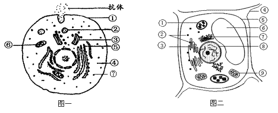 耐人寻味 言近旨远:语言浅近易懂.主旨深远. 言简意丰:语言简洁.