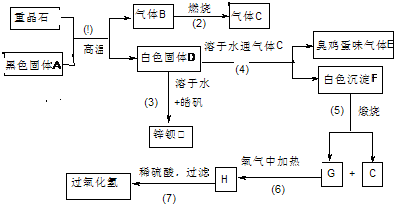 (2)寫出過氧化氫和物質c的電子式