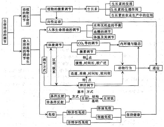 神经纤维思维导图图片