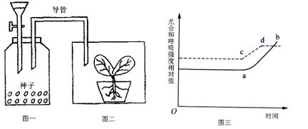 自然界的菠菜为雌雄异株植物.其性别决定方式工业区xy型.