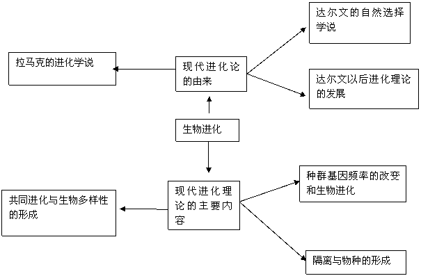 自然选择学说思维导图图片