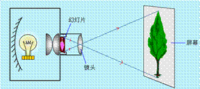 与电影放映机成像原理相当的仪器是 a 照相机 b 放大镜 c.